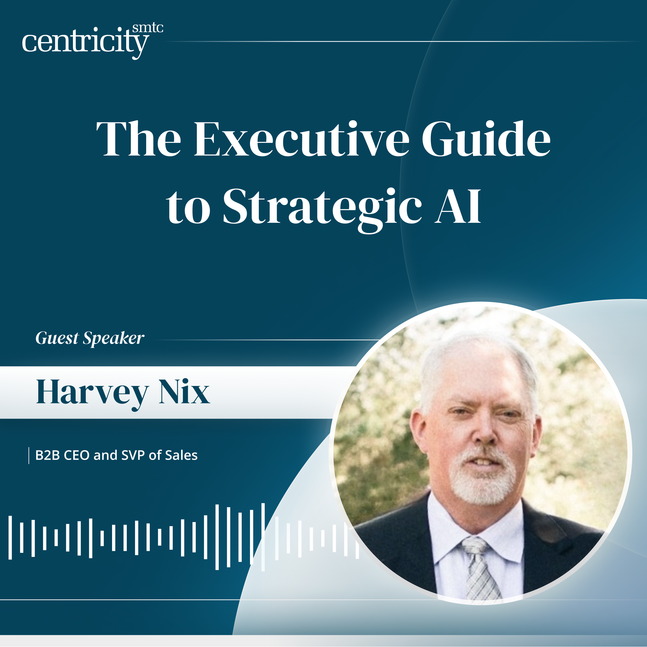 The Executive Guide to Strategic AI